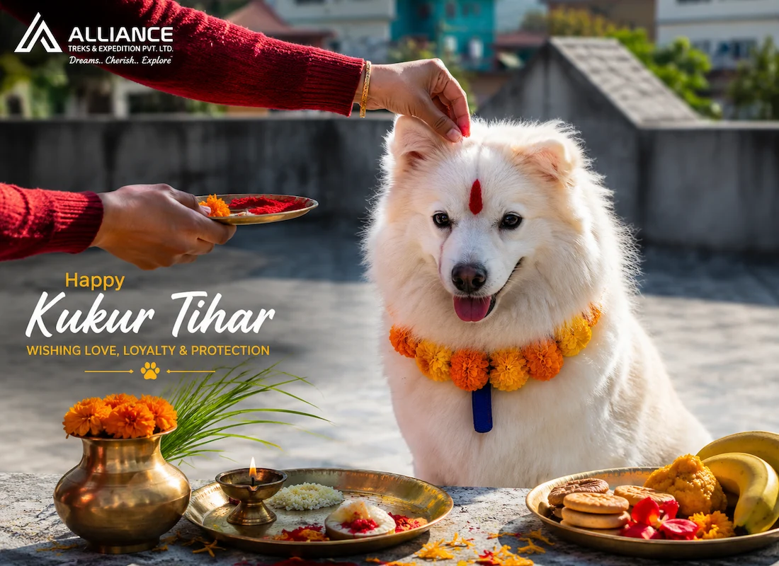 kukur tihar