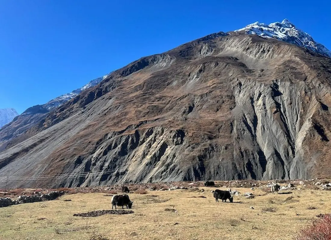 tsum valley