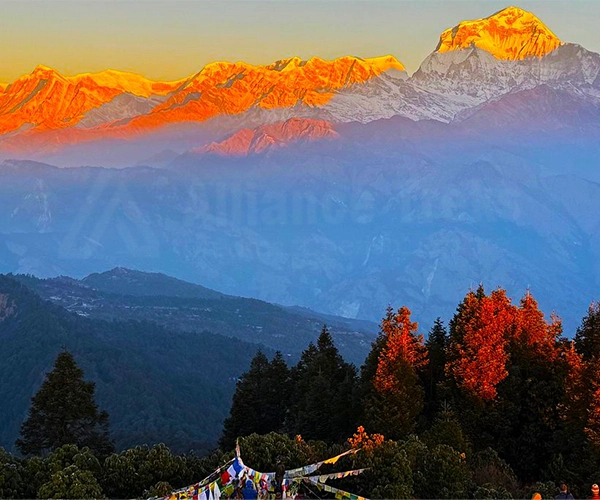 Poon Hill Trek Nepal from Pokhara