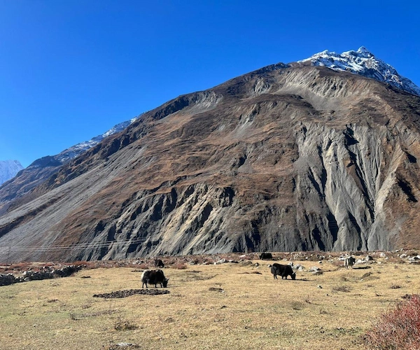 Tsum Valley Trek