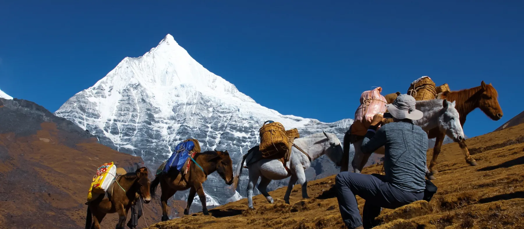 Bhutan Druk Path Trek