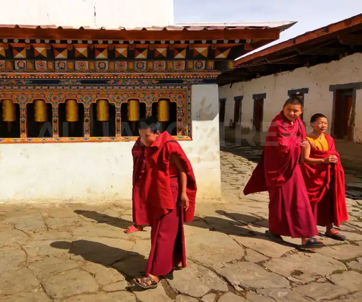 Himalayan Discovery: 10 Days Nepal and Bhutan Cultural Tour