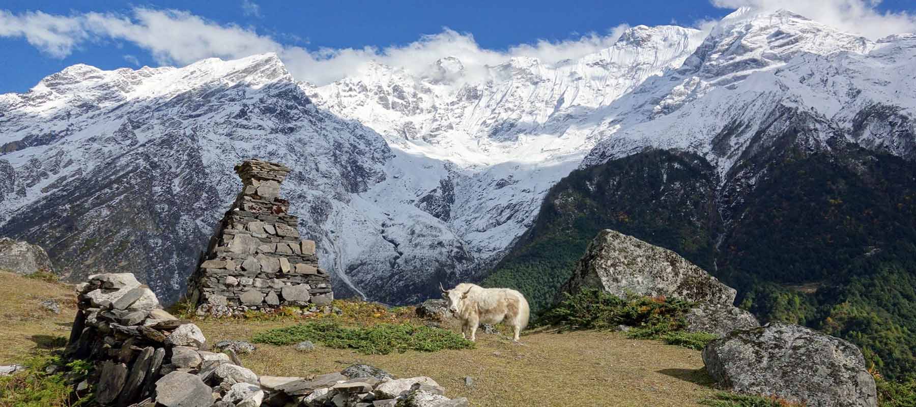 Manaslu Tsum Valley Trek