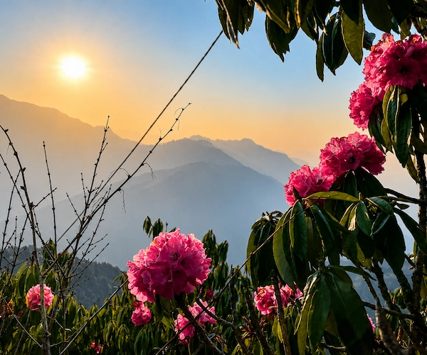 Nepal Adventure Trekking Tour