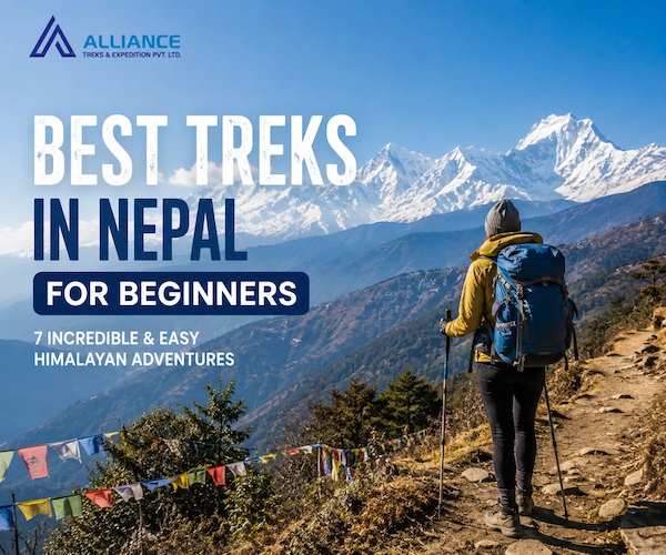 Best Treks in Nepal for Beginners: 7 Incredible and Easy Himalayan Adventures