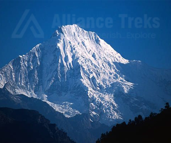 Ganesh Himal Trek: The Quiet Side of the Himalayas