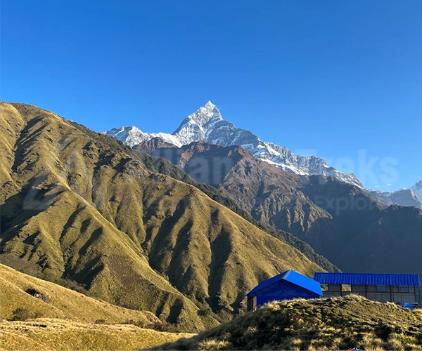Khumai Danda Trek: Complete Trek Guide Near Pokhara with Stunning Himalayan Views