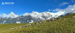 Hill & Mountains seen from kori danda 