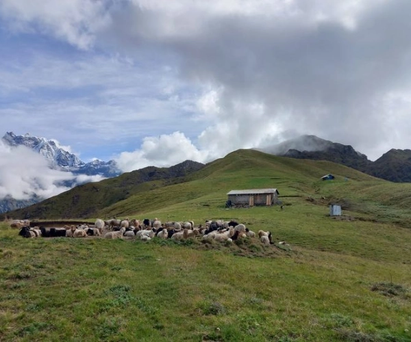 Kori Danda Trek