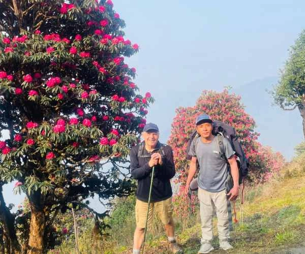 May Treks in Nepal: Complete Guide to the Best Spring Treks