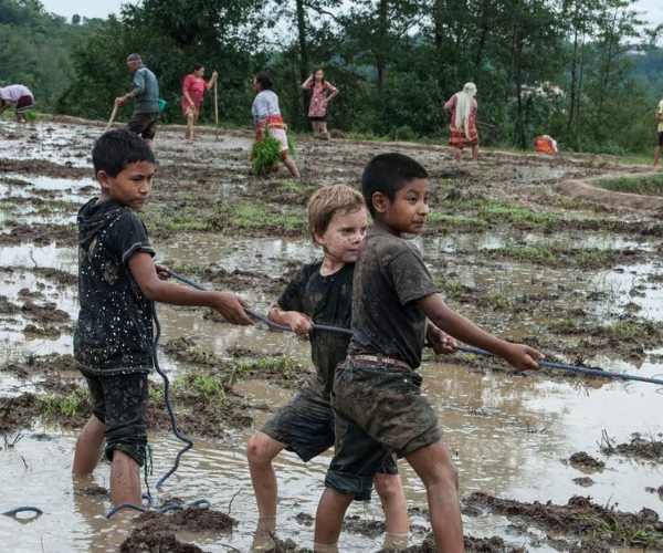 Dhan Ropai Diwas in Nepal