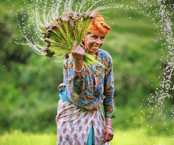 Dhan Ropai Festival in Nepal