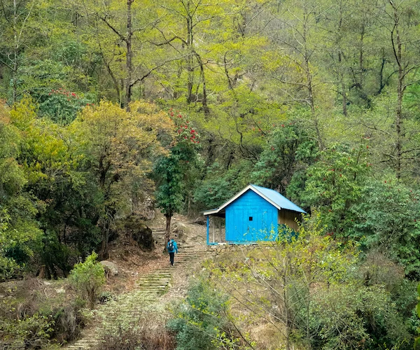 Tea House Trekking in Nepal