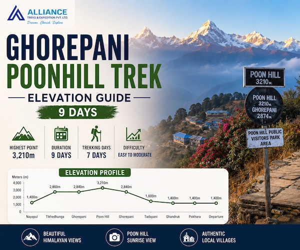 Ghorepani Poon Hill Trek Elevation Guide