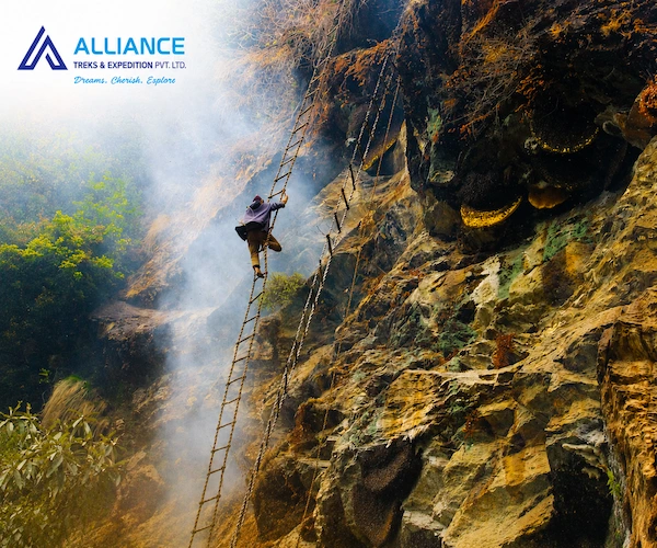 Honey Hunting in Nepal