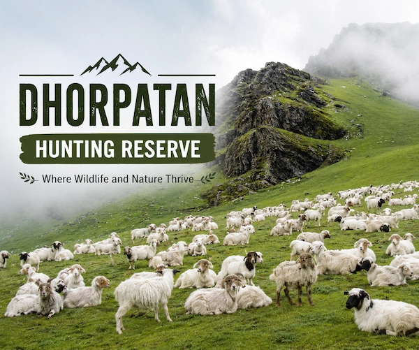 Dhorpatan Hunting Reserve: Nepal’s Premier Hunting Destination for Foreigners