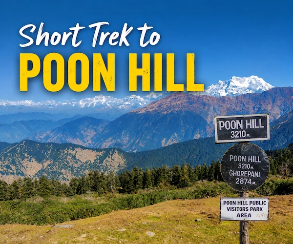 Short Trek to Poon Hill