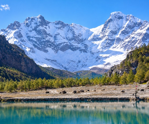 Lower Dolpo Trek