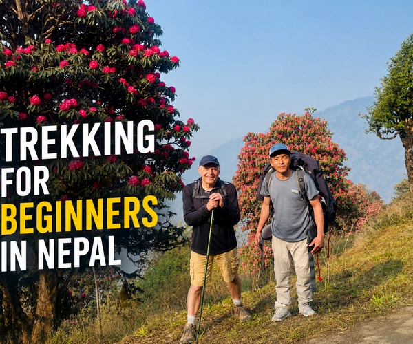 Trekking for Beginners in Nepal: 2026 Safety Guide