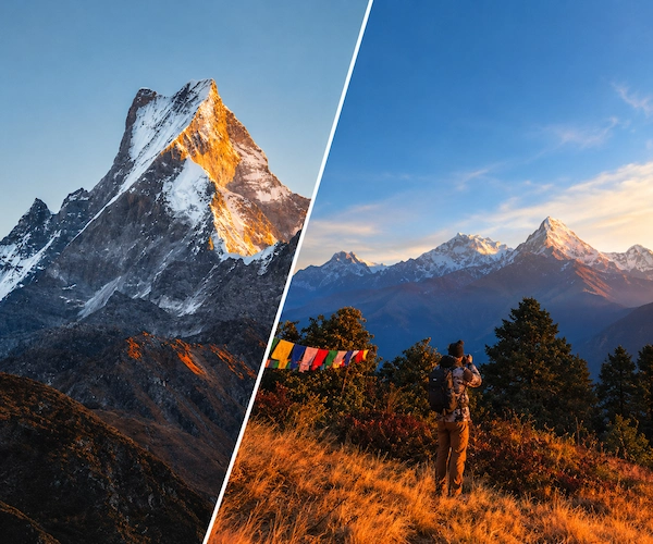 Mardi Himal vs. Ghorepani Poon Hill: Which Short Annapurna Trek Has the Best Views?